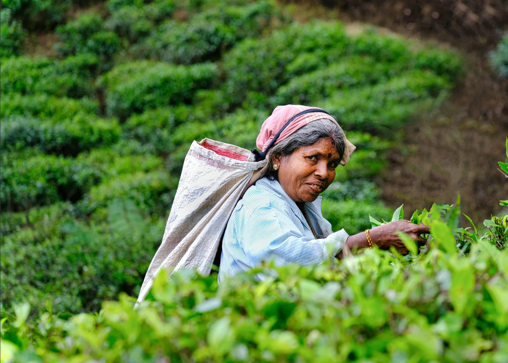 10 Days / 9 Nights Sri Lanka Luxury Tour Package