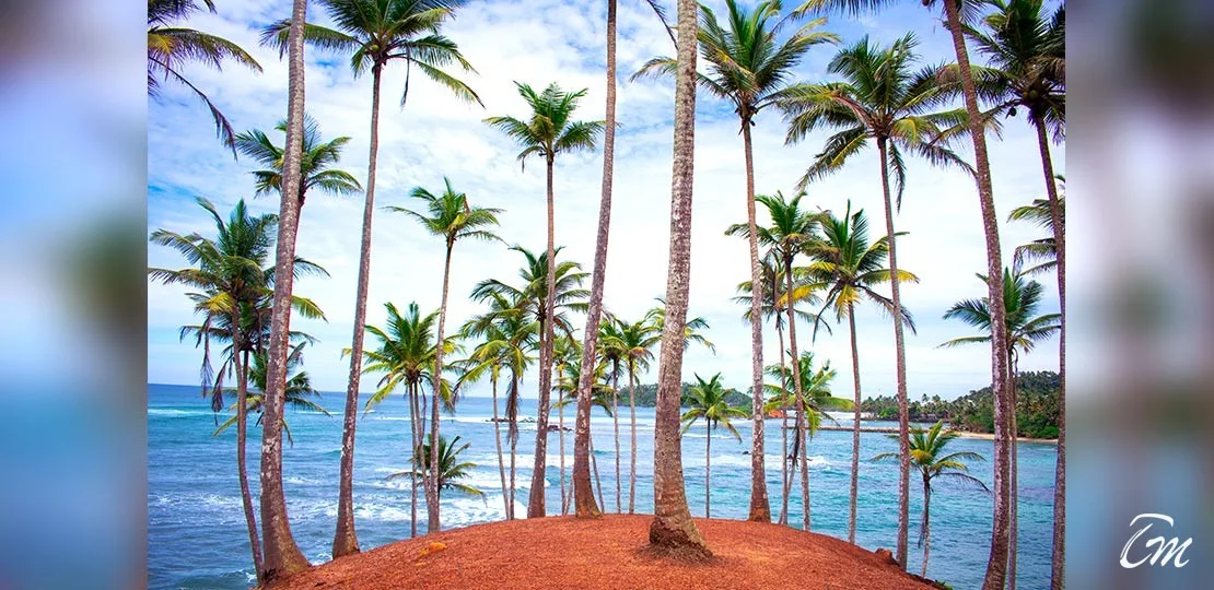 10 Days / 9 Nights Sri Lanka Luxury Tour Package
