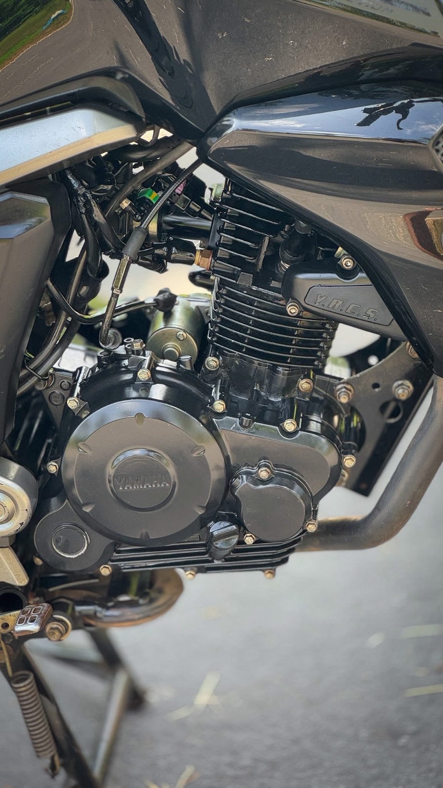 Fz Version 2 (2020)
